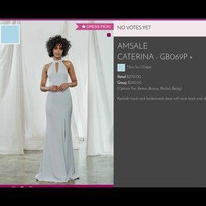 Bella Bridesmaids Amsale Catarina Dress